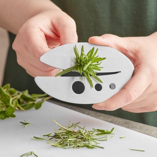 a person cutting a bunch of rosemary