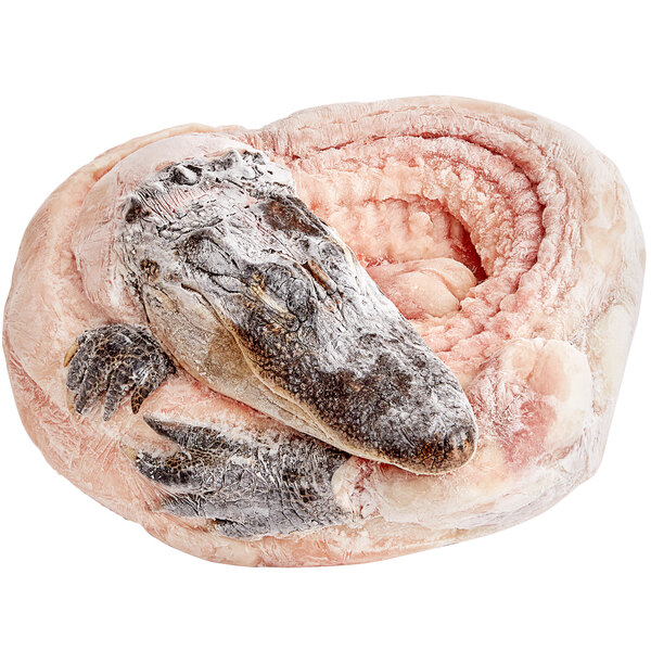 Big Pop's Whole Alligator 19 21 lb.