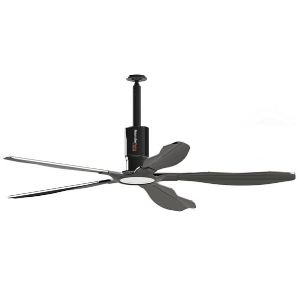 a ceiling fan with a light
