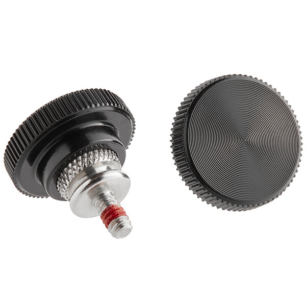 Two black and silver screws.