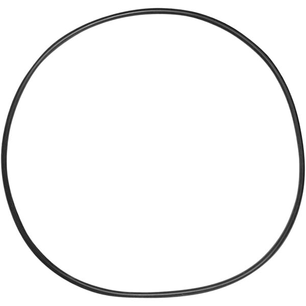 A black rubber O-ring with a white background.