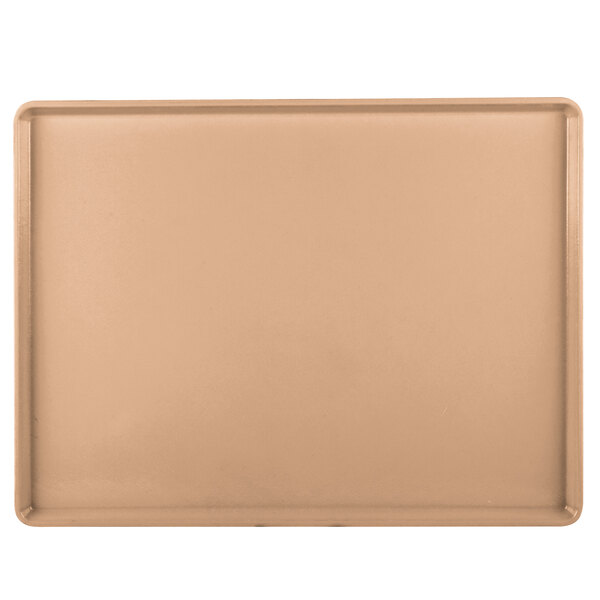 A dark peach rectangular Cambro dietary tray with a white border.