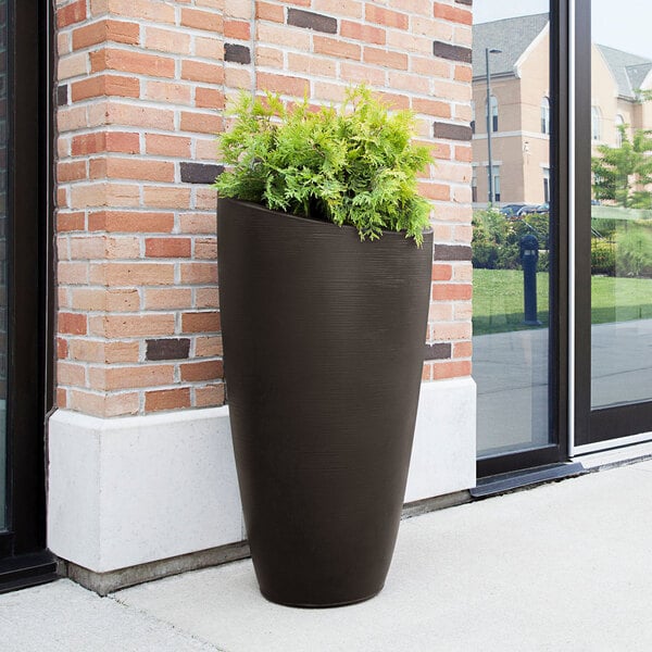 An espresso Mayne Modesto rectangular planter with plants in it.