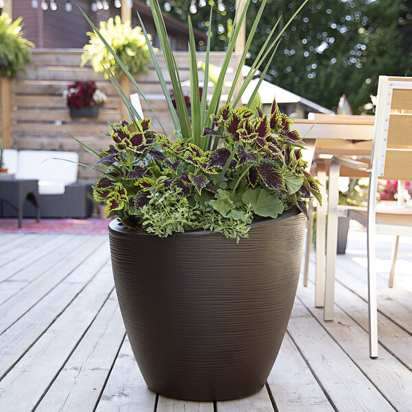 An espresso Mayne Modesto planter on a deck table with potted plants.