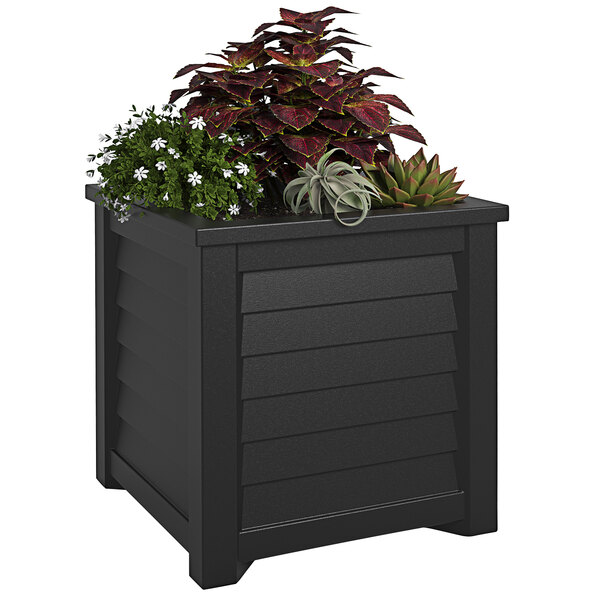 a black box with plants on it