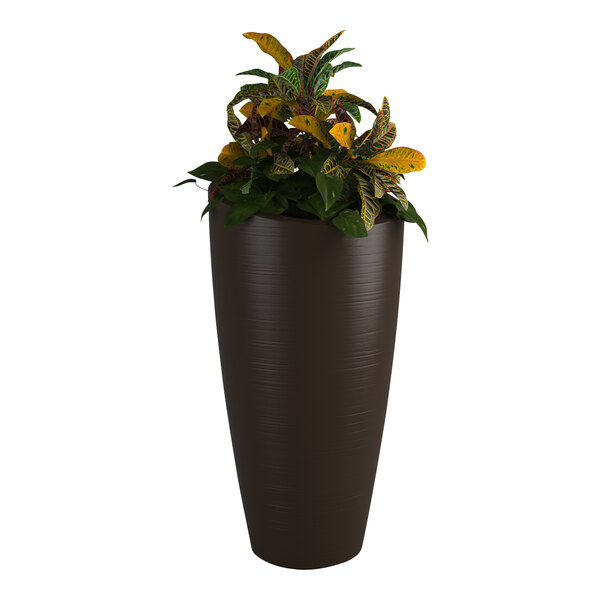 An espresso Mayne Modesto planter with a potted plant in it.