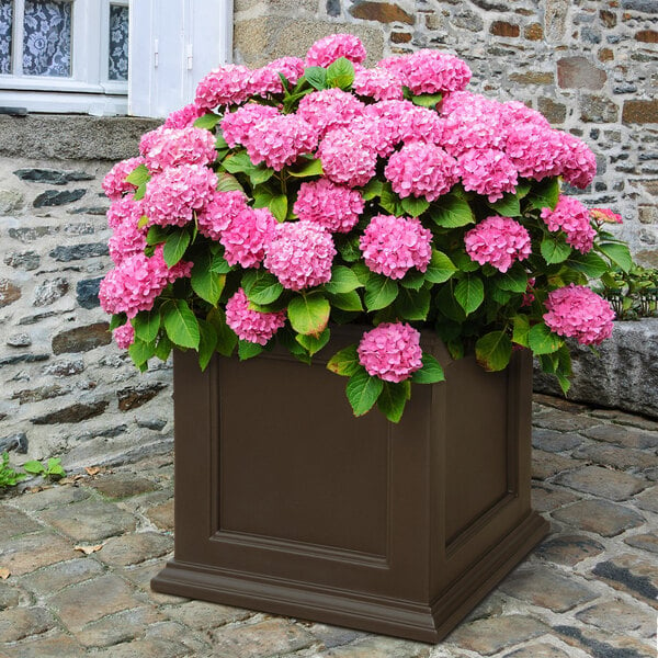 An espresso Mayne Fairfield planter with pink flowers on a table.