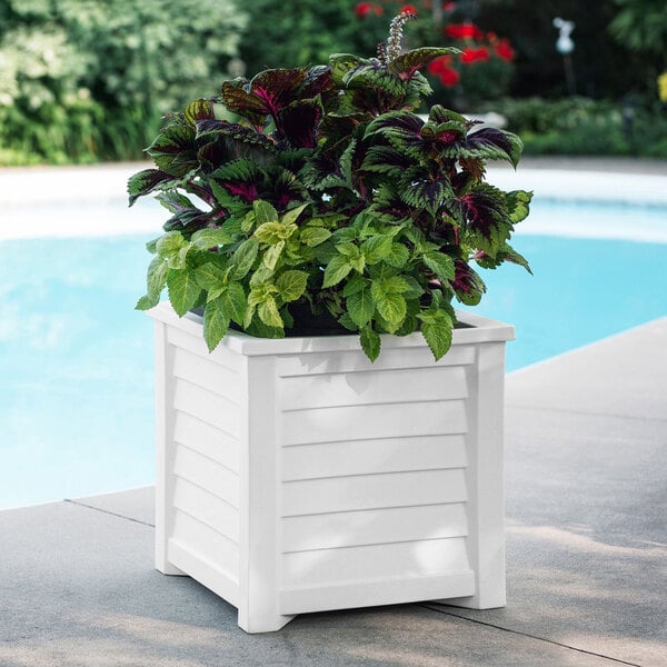 A white Mayne Lakeland planter with green plants.