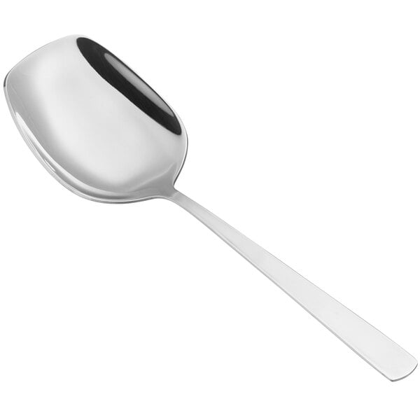 Emperor's Select 8 1/4 Stainless Steel Serving Spoon