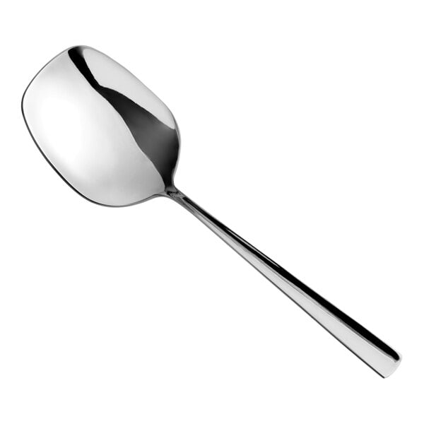 A stainless steel serving spoon with a polished finish and a long handle.