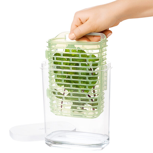 OXO's GreenSaver Produce Keeper: Product Review