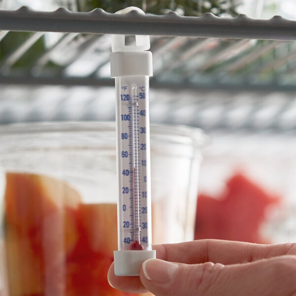 Refrigerator/Freezer Tube Thermometer