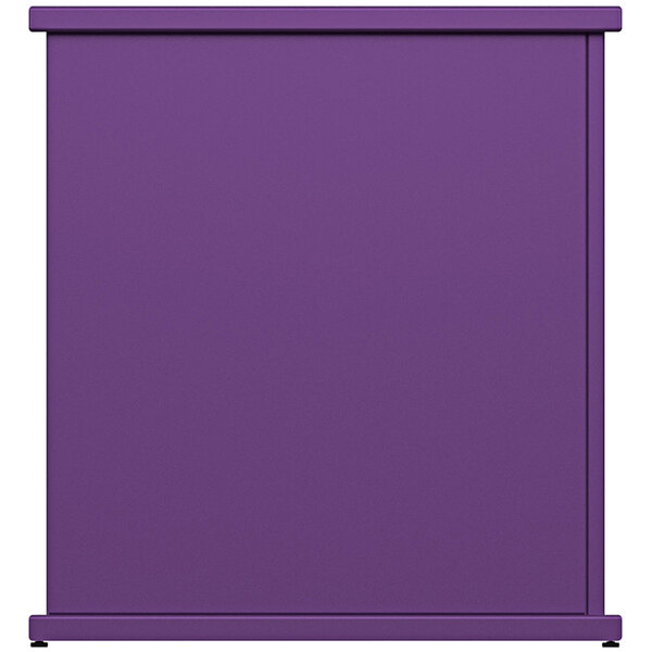 a purple rectangular object with a white border