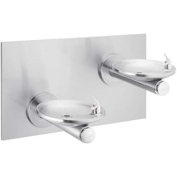 Elkay wall mounted water fountain with splash-resistant oval basins.