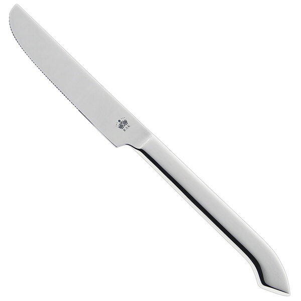 A RAK Porcelain stainless steel dinner knife with a silver handle.