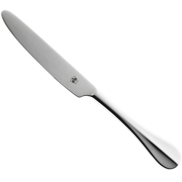A RAK Porcelain stainless steel dinner knife with a silver handle.