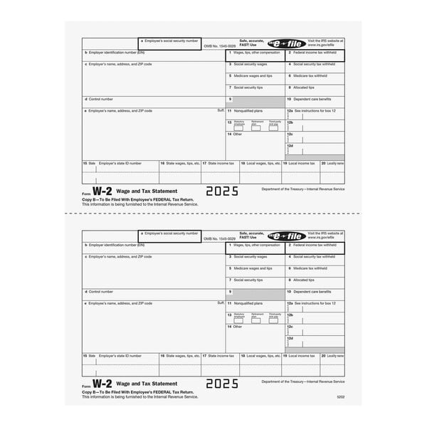A sheet containing two blank 2025 W-2 Wage and Tax Statement forms, labeled as Employee Copy B.