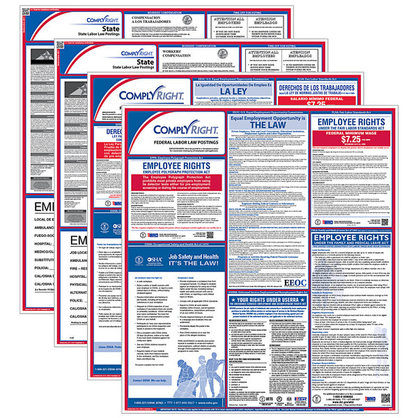 ComplyRight Bilingual Federal and State Labor Law posters for Michigan.