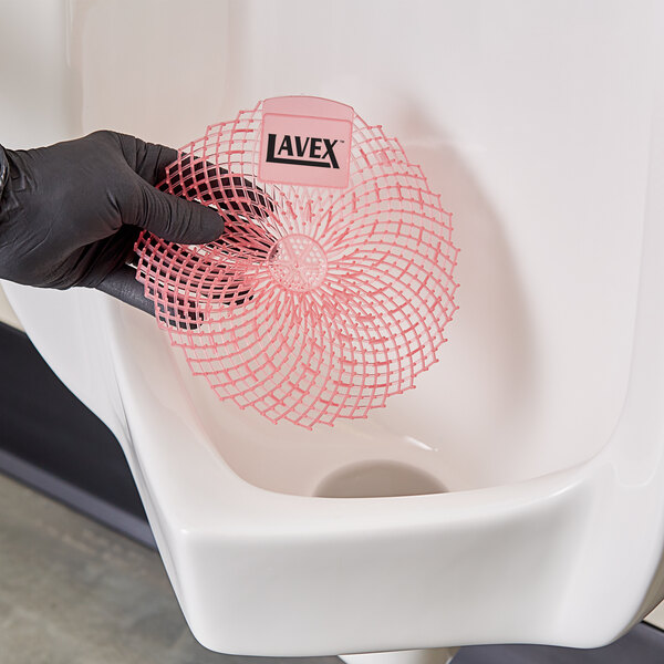 A person wearing black gloves holding a Lavex Apple Scented Gel Urinal Screen