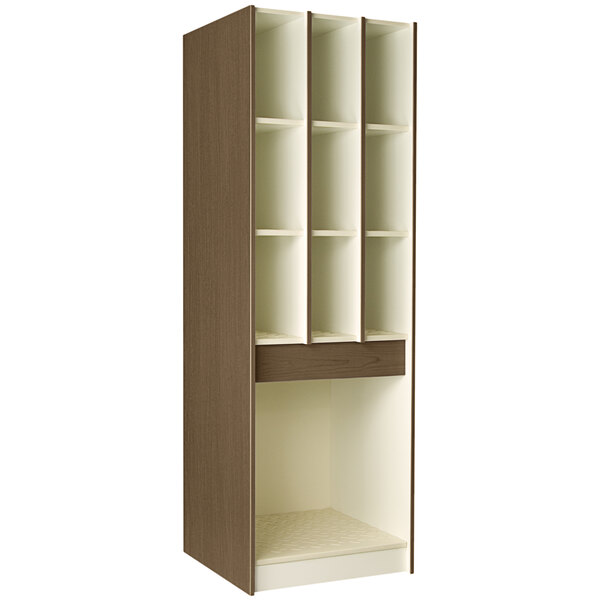An I.D. Systems Roman Walnut instrument storage cabinet with shelves and doors.