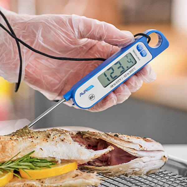 A person holding an AvaTemp digital folding probe thermometer to measure the temperature of fish.