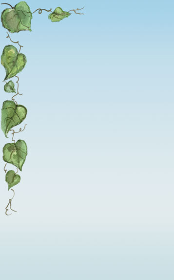 The left menu paper insert with a vine and leaves in green on a white background.