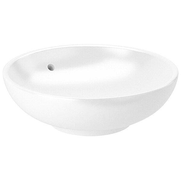 A white Sloan vitreous china bowl sink.