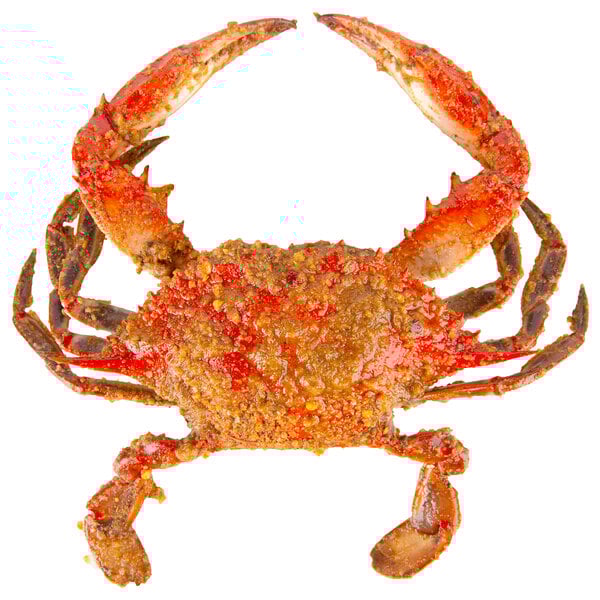 A steamed blue crab with red seasoning on its back.