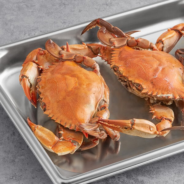 Two small-extra large non-seasoned steamed female blue crabs on a metal tray.