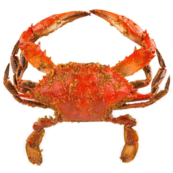 A seasoned steamed blue crab with its claws open.