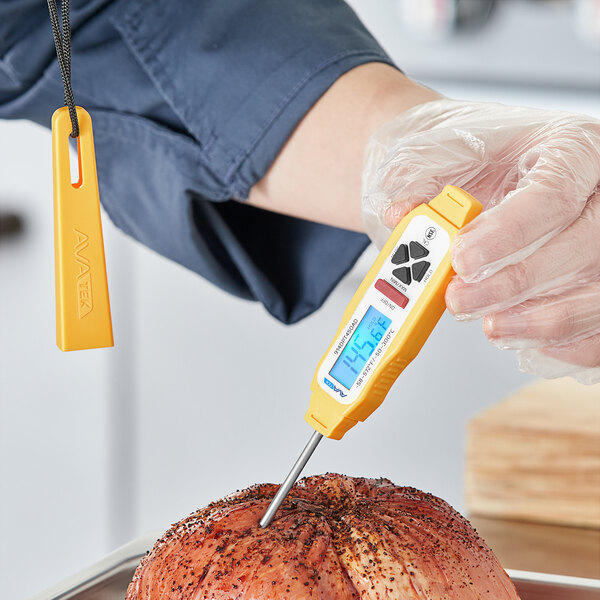 AvaTemp 3" Waterproof Digital Pocket Probe Thermometer with Backlight