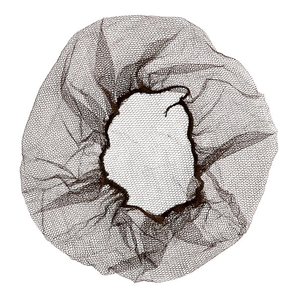 A brown nylon hairnet cap.