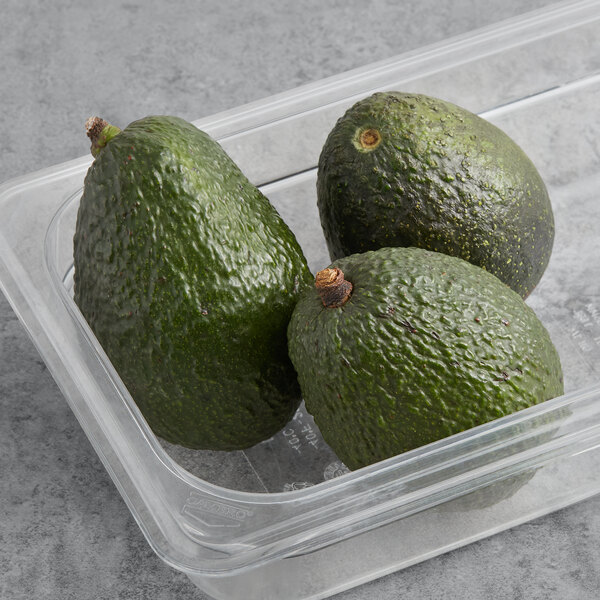 A group of Fresh Green Skin Florida Green Avocados in a plastic container.