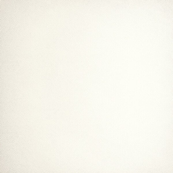 A white vinyl cushion designed for use with alloy barstools.