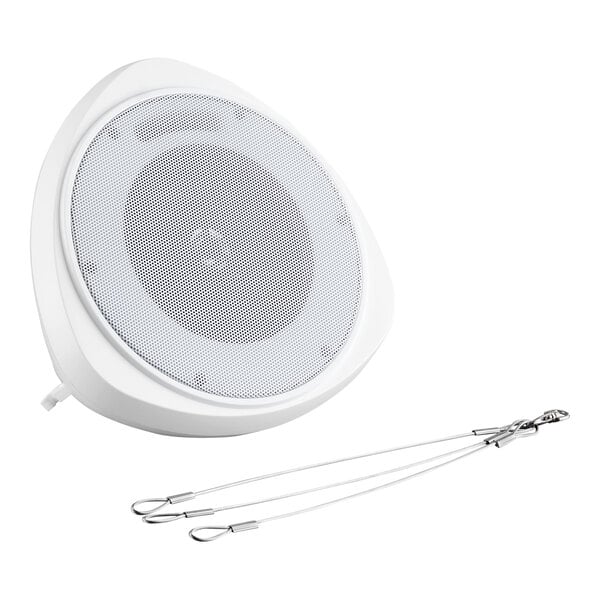 A white 5-inch pendant speaker with a metal hanging chain.