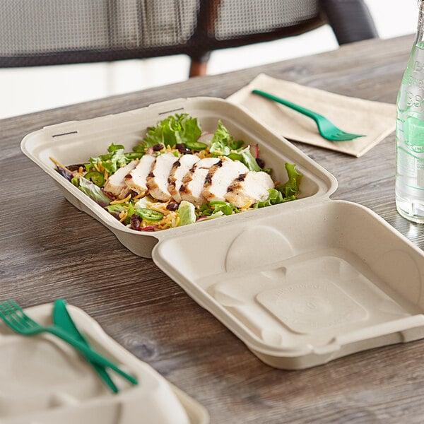 Compostable Biodegradable Take Out Food Containers with Clamshell