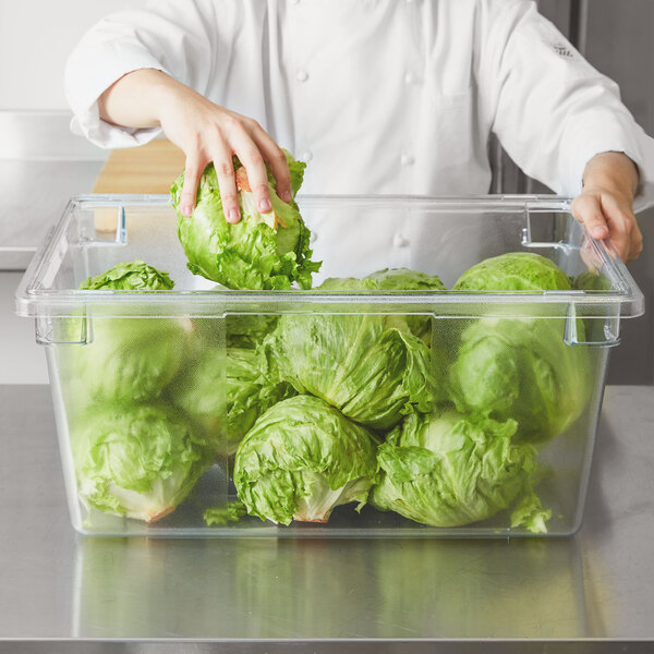 A person holding a Rubbermaid clear polycarbonate food storage container filled with lettuce.