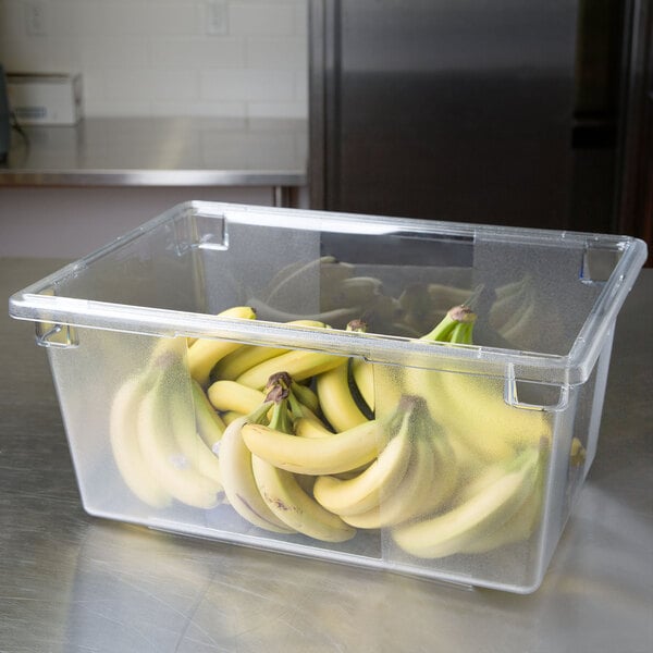 A clear Rubbermaid plastic container filled with bananas.