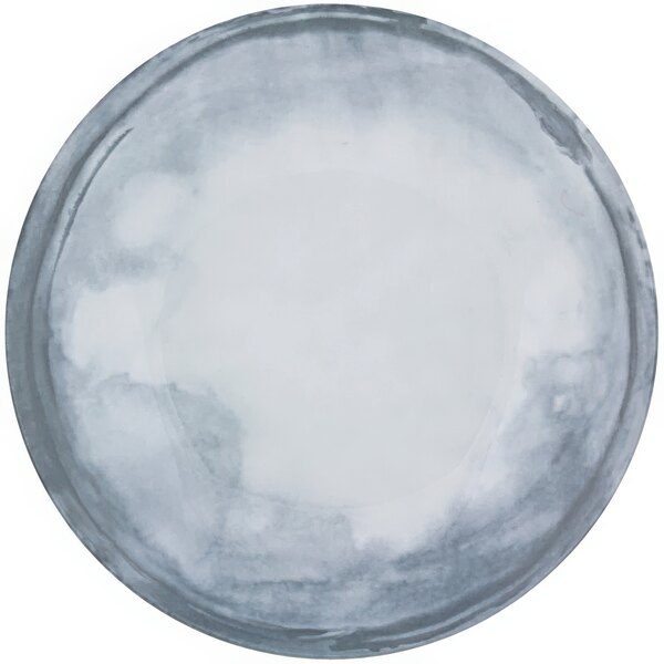 A white Bauscher porcelain plate with a grey and white circle inside.