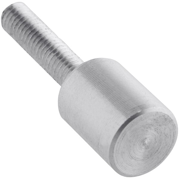 A silver metal screw with a round head.