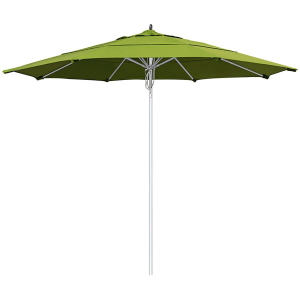 A close up of a green California Umbrella with a silver pole and Macaw Sunbrella fabric.