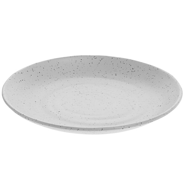 A white cheforward melamine plate with speckles.