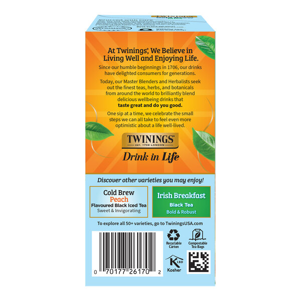 Twinings Green Tea with Mint Cold Brewed Iced Tea Bags - 20/Box