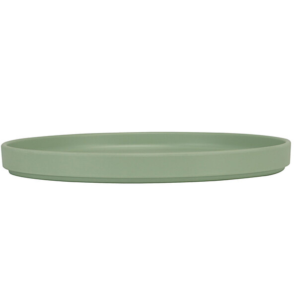A green Cal-Mil Hudson melamine plate with a small rim on a white surface.