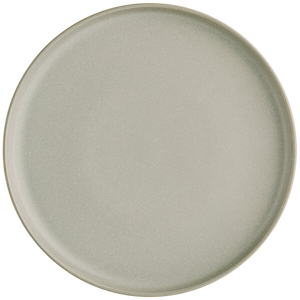 A close-up of an Acopa Pangea ash matte coupe plate with a white background.