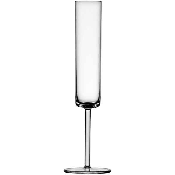 A Fortessa Tritan plastic champagne flute with a long stem.