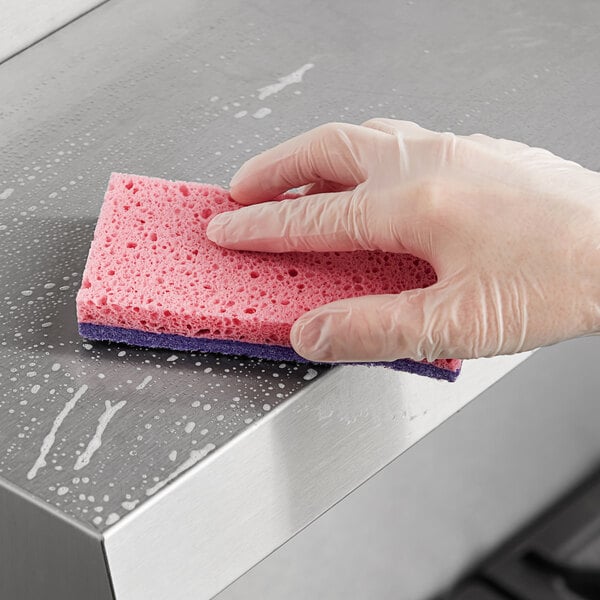 A hand in a glove holding a pink and purple Lavex sponge.