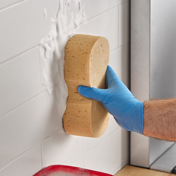 A person wearing blue gloves scrubbing a wall with a Lavex jumbo natural sponge.