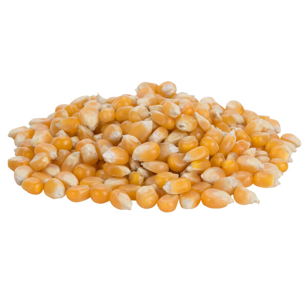 popcorn corn