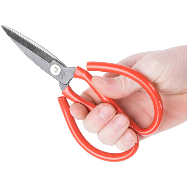 A hand holding Thunder Group nickel-plated steel fish shears with red handles.